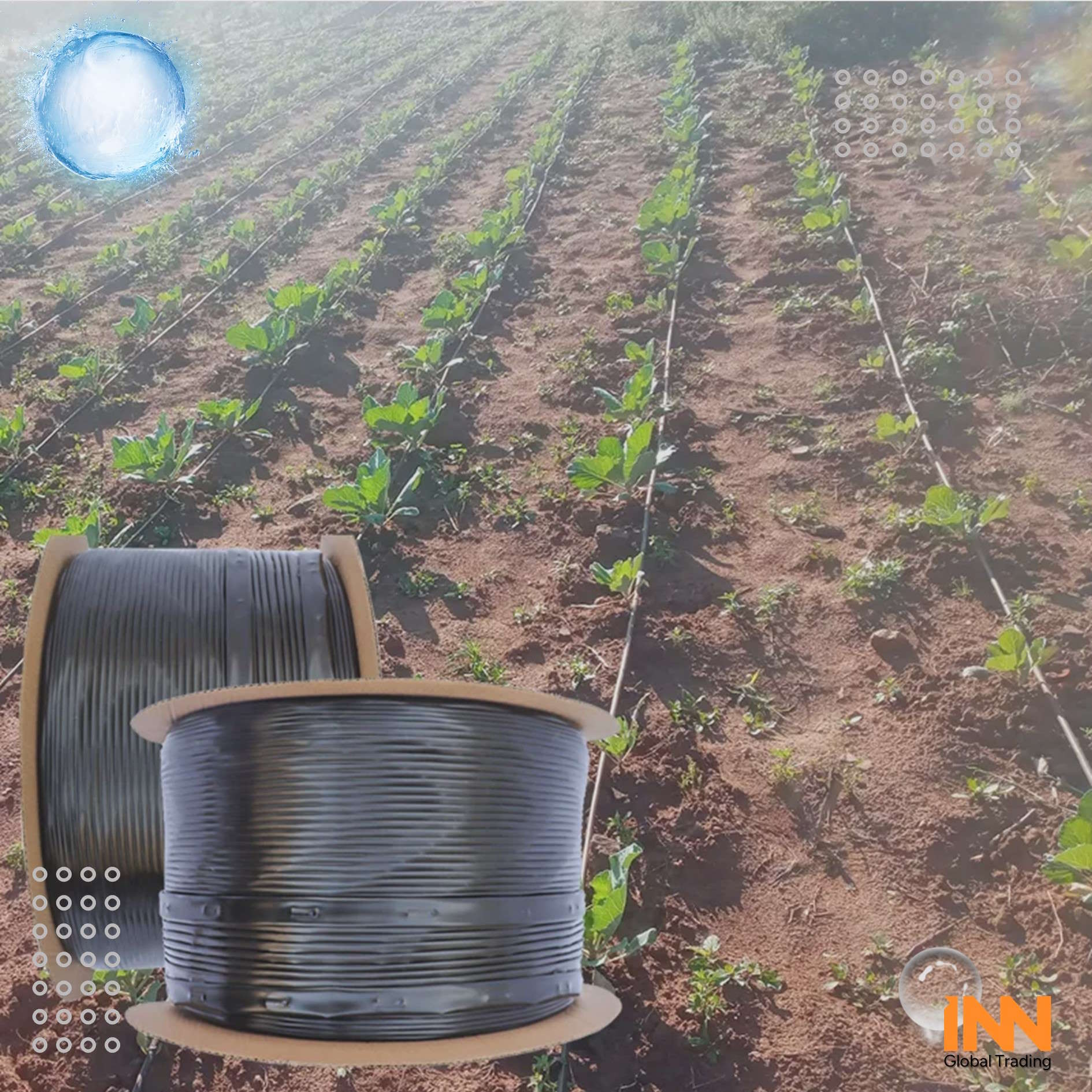 High-Tech Drip Irrigation Pipes: Transformation and Efficiency in Agriculture